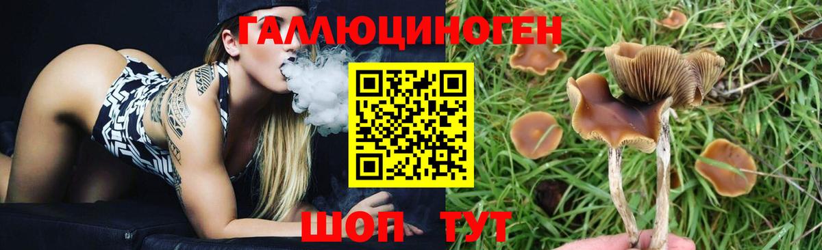 Котельники  магазин    Вход с VPN  Псилоцибиновые грибы MAGIC MUSHROOMS 